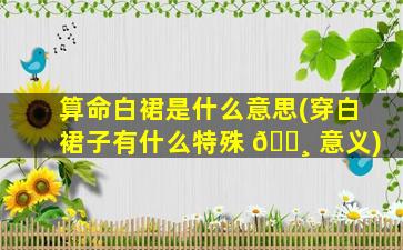 算命白裙是什么意思(穿白裙子有什么特殊 🕸 意义)